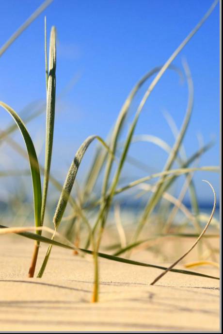 Coastal Visions Photography - Lennox Head Accommodation 1