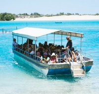 Willie Creek Pearl Farm - Lennox Head Accommodation