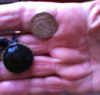 Hurleys Aquariums - Lennox Head Accommodation