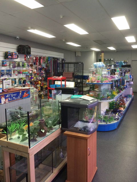 Nambour Pet Shop - Lennox Head Accommodation 0