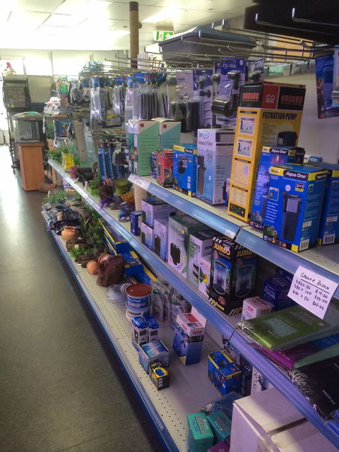 Nambour Pet Shop - Lennox Head Accommodation 2