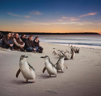 Down Under Thrills - Lennox Head Accommodation