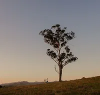Faulls Ridge Winery - Lennox Head Accommodation