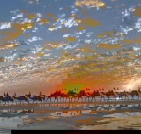 1 Hour Broome Sunset Camel Tour - Lennox Head Accommodation