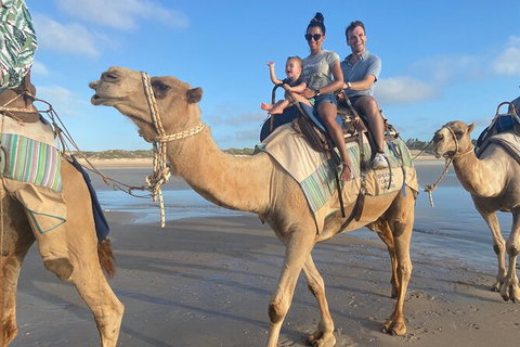 1 Hour Broome Sunset Camel Tour - Lennox Head Accommodation 4