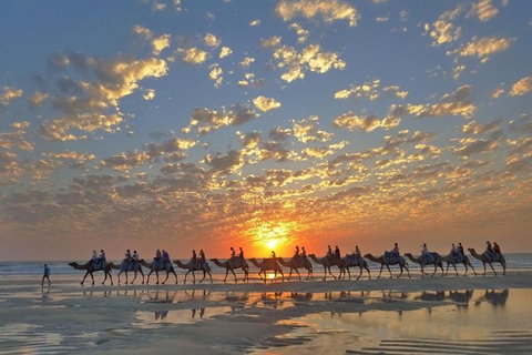 1 Hour Broome Sunset Camel Tour - Lennox Head Accommodation 1