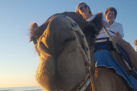 1 Hour Broome Sunset Camel Tour - Lennox Head Accommodation 2