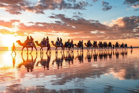 1 Hour Broome Sunset Camel Tour - Lennox Head Accommodation 9