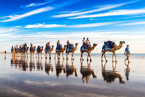 1 Hour Broome Sunset Camel Tour - Lennox Head Accommodation 6