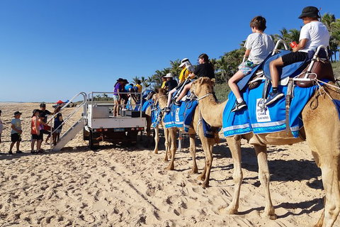 1 Hour Broome Sunset Camel Tour - Lennox Head Accommodation 3