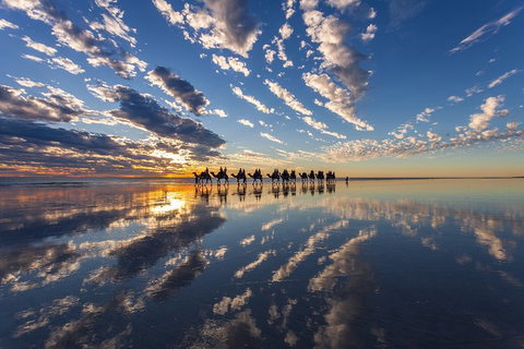 1 Hour Broome Sunset Camel Tour - Lennox Head Accommodation 5