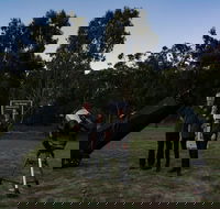 Stargazing Busselton with Mobile Observatory - Lennox Head Accommodation