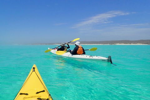 Lagoon Explorer - Ningaloo Reef Full-Day Kayaking And Snorkeling Adventure - Lennox Head Accommodation 7