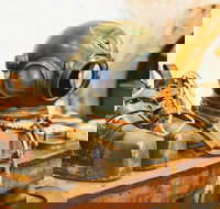 1.5-Hour Historical Pearl Luggers Tour in Broome - Lennox Head Accommodation