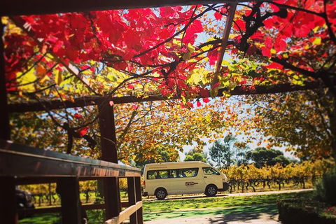 Ultimate Swan Valley Food And Wine Day Trip From Perth - Lennox Head Accommodation 12