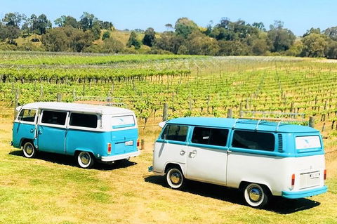 VW Kombi Wine Tour In The Swan Valley - Lennox Head Accommodation 6