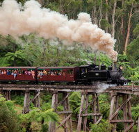 Melbourne Combo Great Ocean Road Puffing Billy Moonlit Sanctuary  Penguins - Lennox Head Accommodation