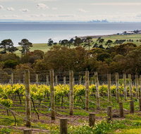 Bellarine Peninsula Small Group Wine Tour with 2 Course Lunch and Morning Tea - Lennox Head Accommodation