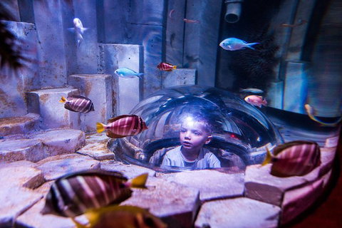 SEA LIFE Melbourne Aquarium Admission Ticket - Lennox Head Accommodation 0