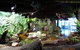 SEA LIFE Melbourne Aquarium Admission Ticket - thumb 2