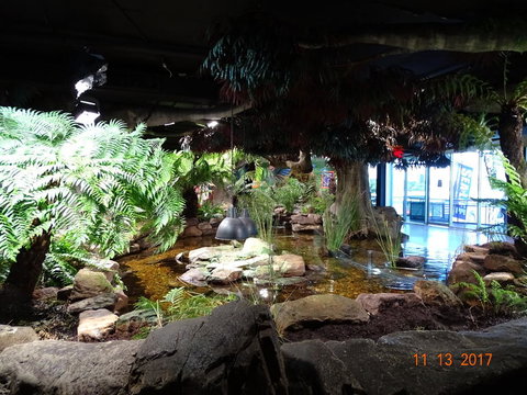 SEA LIFE Melbourne Aquarium Admission Ticket - Lennox Head Accommodation 2