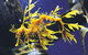 SEA LIFE Melbourne Aquarium Admission Ticket - thumb 19
