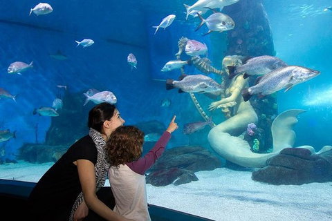 SEA LIFE Melbourne Aquarium Admission Ticket - Lennox Head Accommodation 14