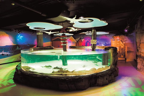 SEA LIFE Melbourne Aquarium Admission Ticket - Lennox Head Accommodation 27