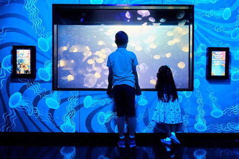SEA LIFE Melbourne Aquarium Admission Ticket - Lennox Head Accommodation 18