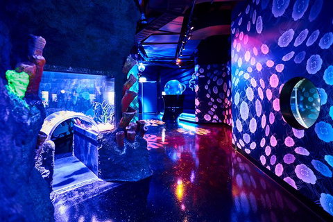 SEA LIFE Melbourne Aquarium Admission Ticket - Lennox Head Accommodation 13