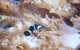 SEA LIFE Melbourne Aquarium Admission Ticket - thumb 16
