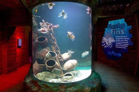 SEA LIFE Melbourne Aquarium Admission Ticket - Lennox Head Accommodation 23