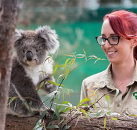2-Day Phillip Island and Wilsons Promontory Tour from Melbourne - Lennox Head Accommodation