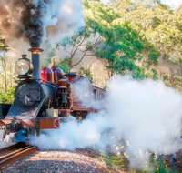 Puffing Billy and Mount Dandenong Private Tour - Lennox Head Accommodation