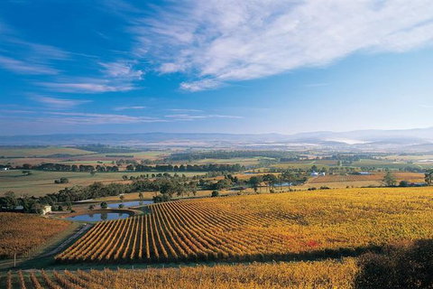 Half Day Yarra Valley Winery Day Trip From Melbourne - Lennox Head Accommodation 2