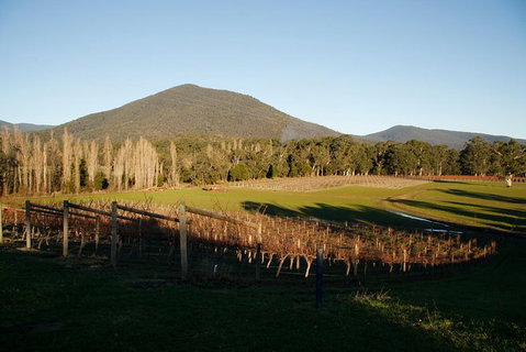 Half Day Yarra Valley Winery Day Trip From Melbourne - Lennox Head Accommodation 6