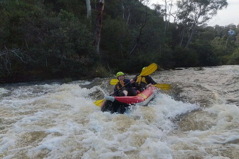 White-Water Kayaking On The Yarra River - Lennox Head Accommodation 5