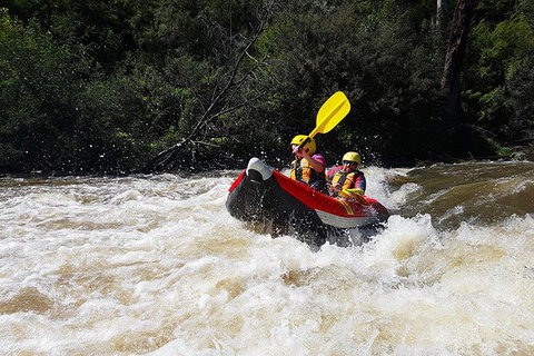 White-Water Kayaking On The Yarra River - Lennox Head Accommodation 6