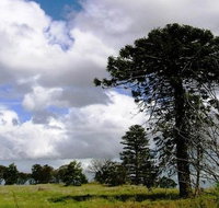 Walking tours of Woodlands Historic Park - Lennox Head Accommodation