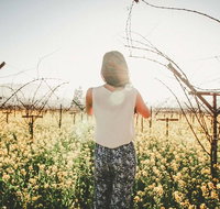 Yarra Valley Rainforest Hike and Winery Tour - Lennox Head Accommodation