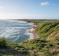 Phillip Island Hike and Aussie Wildlife Adventure - Lennox Head Accommodation