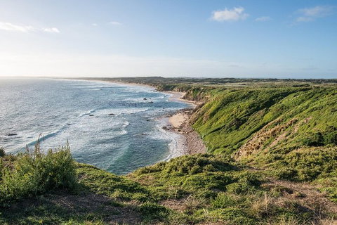 Phillip Island Hike And Aussie Wildlife Adventure - Lennox Head Accommodation 0