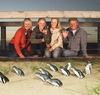 Phillip Island Nature Park Full-Day Tour from Melbourne - Lennox Head Accommodation