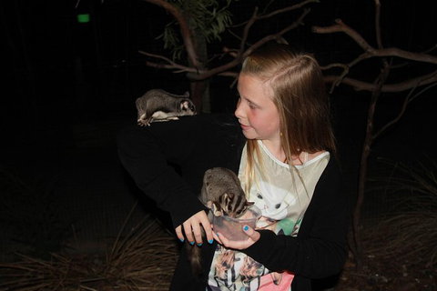 Moonlit Sanctuary Wildlife Conservation Park Evening Tour - Lennox Head Accommodation 1