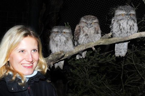 Moonlit Sanctuary Wildlife Conservation Park Evening Tour - Lennox Head Accommodation 0