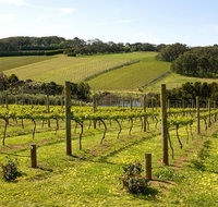 Mornington Peninsula Small-Group Wine Tour with Lunch and Morning Tea - Lennox Head Accommodation