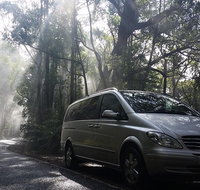 Shore Excursion-Healesville-Sanctuary-Private-Group- Max 7 PAX -Yarra Valley - Lennox Head Accommodation