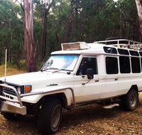 Private Tour Wombat State Forest Wildlife Safari 4WD Tour from Melbourne - Lennox Head Accommodation