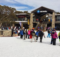 Mt Buller Day Trip from Melbourne - Lennox Head Accommodation