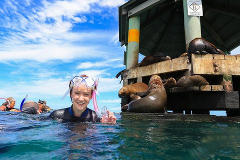 Melbourne City Card (3 Days): Visit Unlimited Attractions! - Lennox Head Accommodation 18